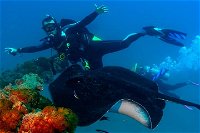 Scuba Dive the S.S. Yongala Wreck on the Great Barrier Reef. - Geraldton Accommodation