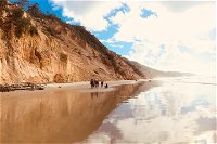 Great Beach Drive 4WD Tour - Private Charter from Noosa to Rainbow Beach - Accommodation Tasmania