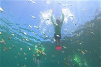 Manly Snorkel Trip and Nature Walk with Local Guide - Broome Tourism