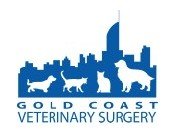 Gold Coast Vet Surgery Broadbeach
