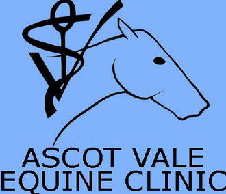 Ascot Vale VIC Vet Australia