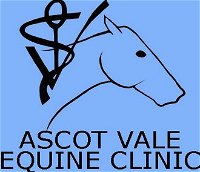 Ascot Vale Equine Clinic