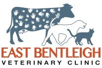 Black Rock And East Bentleigh Veterinary Clinics - Vet Australia