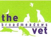 Broadmeadows Veterinary Clinic - Gold Coast Vets