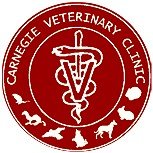 Carnegie VIC Vet Australia