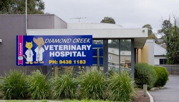 Diamond Creek Veterinary Hospital - thumb 1
