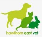 Hawthorn East Vet - Vet Australia 0