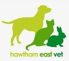 Hawthorn East Vet - Vets Newcastle
