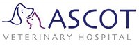 Ascot Veterinary Hospital - Gold Coast Vets