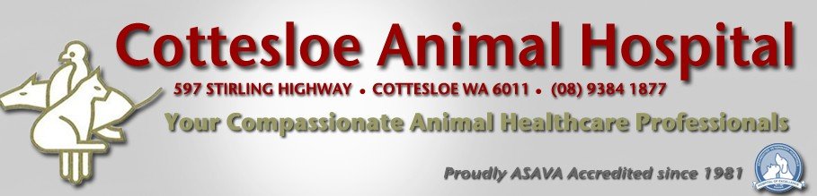 Cottesloe Animal Hospital - thumb 0