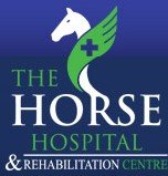 The Horse Hospital