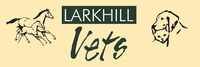 Larkhill Vets - Gold Coast Vets