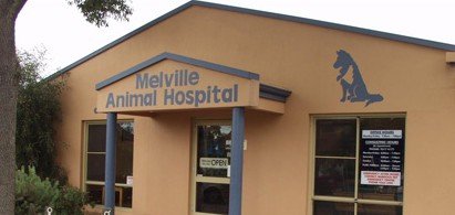 Melville Animal Hospital Melville