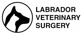Labrador Veterinary Surgery - Vet Australia