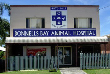 Vets Large Animal Vet Morisset, NSW | Vets Adelaide