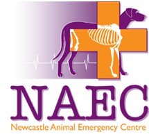 Newcastle Animal Emergency Centre Broadmeadow