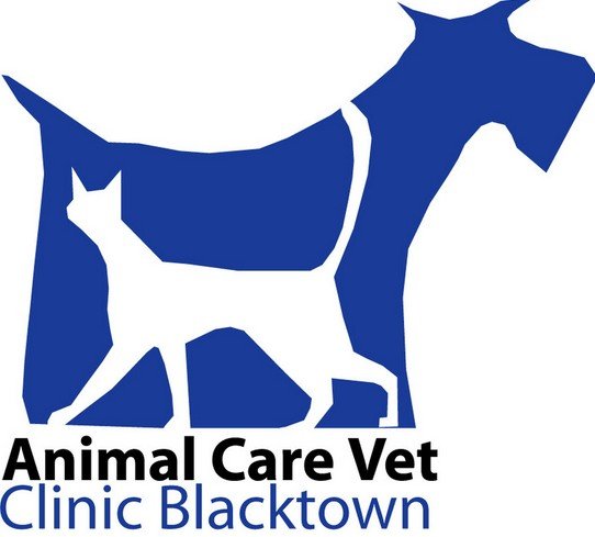 Animal Care Vet Hospital - Vet Australia