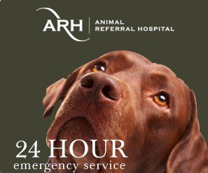 Animal Referral Hospital - Vet Australia