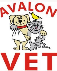 Avalon Veterinary Hospital - Vet Australia