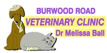 Burwood Road Vet Clinic