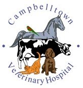 Campbelltown Veterinary Hospital - Vet Australia 0