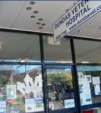 Dundas Veterinary Clinic - Vet Australia 0