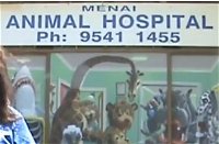 Menai Animal Hospital - Gold Coast Vets