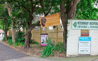 Pennant Hills Veterinary Hospital - Vet Australia