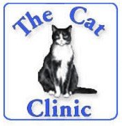 Creek Road Cat Clinic - Vet Australia