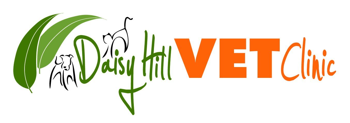 Daisy Hill Vet Clinic - Vet Australia
