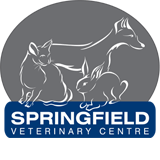 Springfield Veterinary Centre - Vet Australia