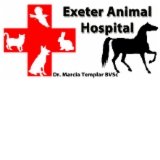 Exeter Animal Hospital - Vet Australia
