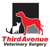Third Avenue Veterinary Surgery - Gold Coast Vets
