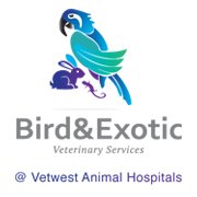 Bird  Exotic Veterinary Services - Perth - Gold Coast Vets
