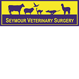 Seymour Veterinary Surgery - Vet Australia