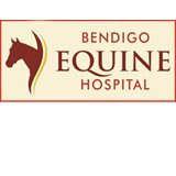 Bendigo Equine Hospital - Vet Australia