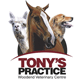 Tony's Practice Woodend - Vet Australia