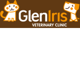 Glen Iris Veterinary Clinic - Gold Coast Vets