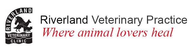 Riverland Veterinary Practice - Vet Australia
