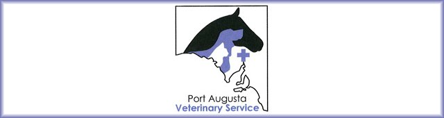 Port Augusta SA Vet Australia