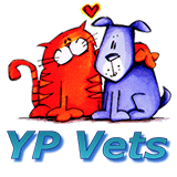YP Vets - Vet Australia