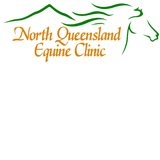 Forsayth QLD Vet Australia