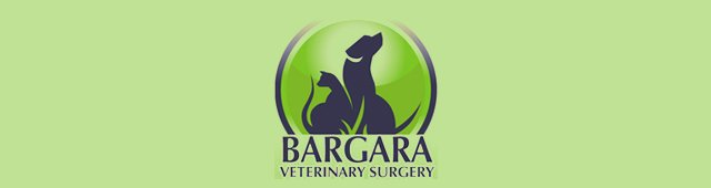 Bargara Veterinary Surgery - Vet Australia
