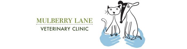 Mulberry Lane Veterinary Clinic - Vet Australia