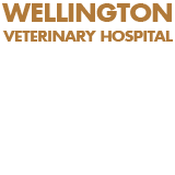 Wellington Veterinary Hospital - Vet Australia