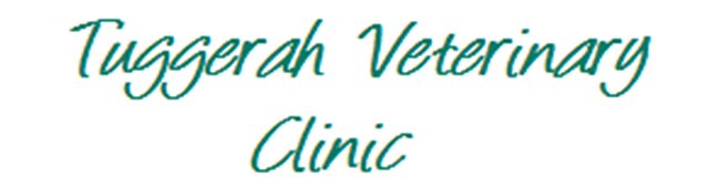 Tuggerah Veterinary Clinic - Vet Australia