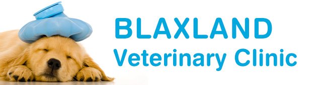 Blaxland Veterinary Clinic - Vet Australia