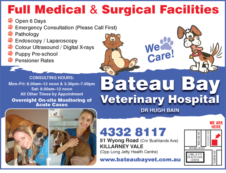 Bateau Bay Veterinary Hospital - thumb 1
