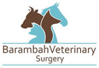 Barambah Veterinary Surgery