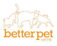 Better Pet Vets Hydrobath - Vet Australia